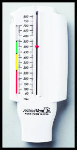 AsthmaMentor Peak Flow Meter